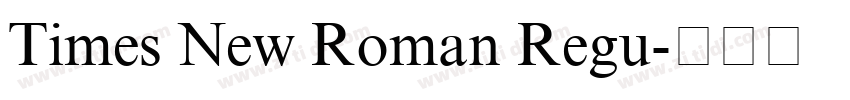 Times New Roman Regu字体转换